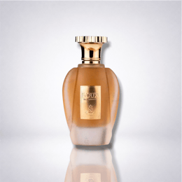 Voux Elegant — Paris Corner