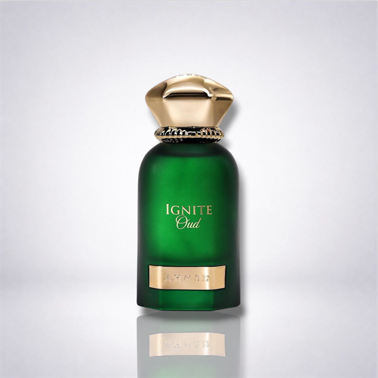 Ignite Oud — Ahmed Al Maghribi