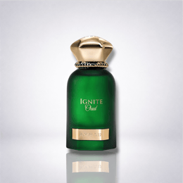 Ignite Oud — Ahmed Al Maghribi