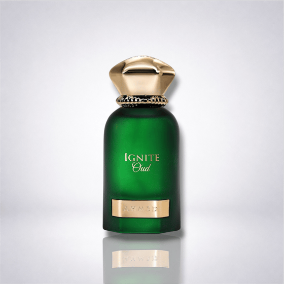 Ignite Oud — Ahmed Al Maghribi — photo 1