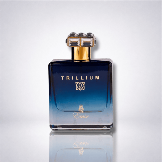 Trillium — Paris Corner — photo 1